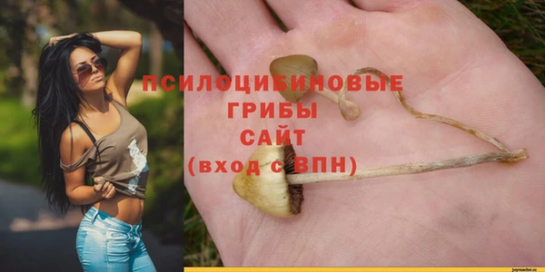 PSILOCYBIN Богородицк